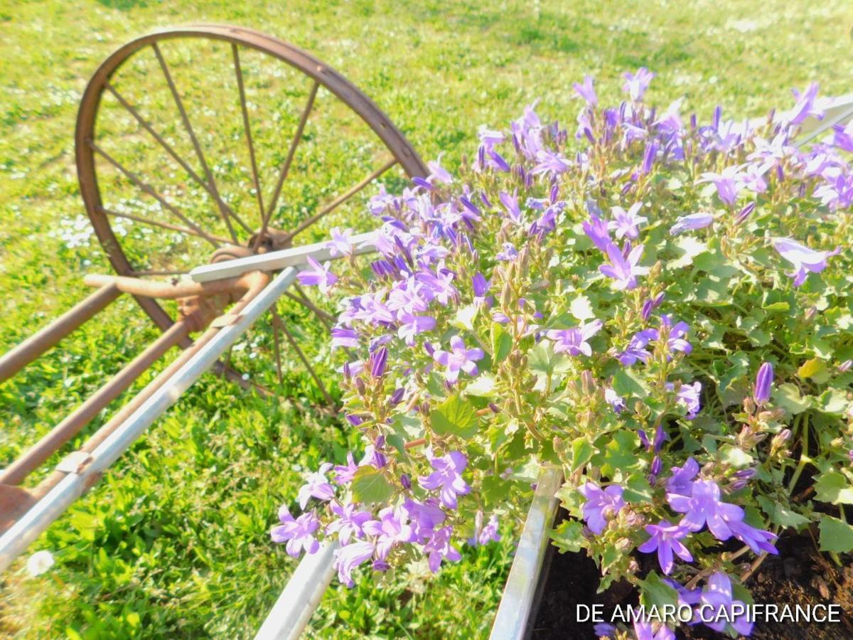 Le Puits De Garival Bed & Breakfast Tour-de-Faure Exterior photo